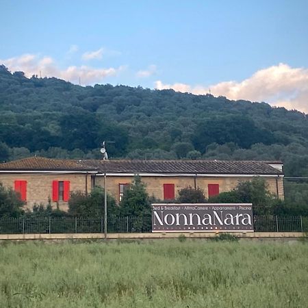 Nonna Nara Bed & Breakfast Grosseto Bagian luar foto