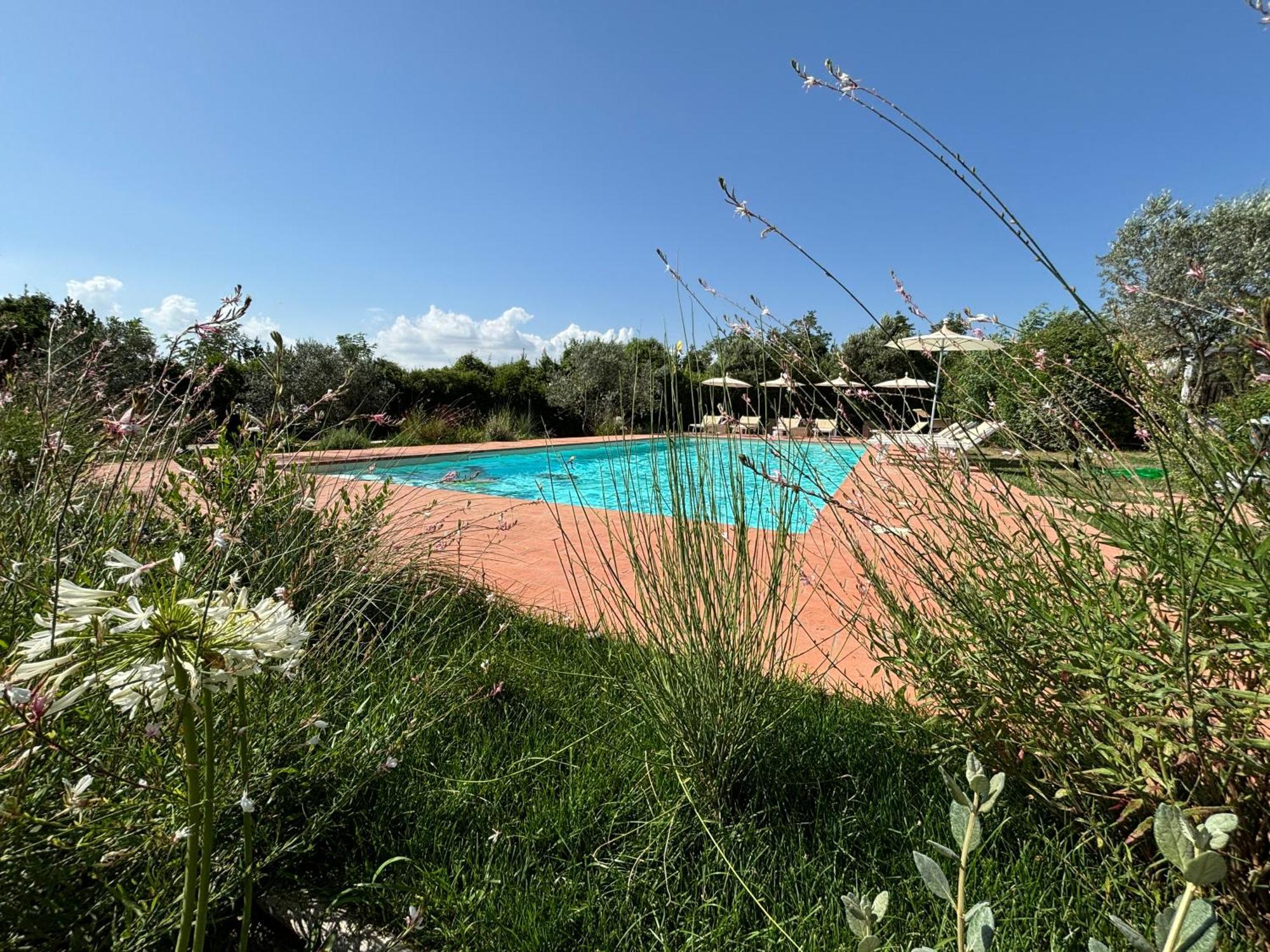 Nonna Nara Bed & Breakfast Grosseto Bagian luar foto