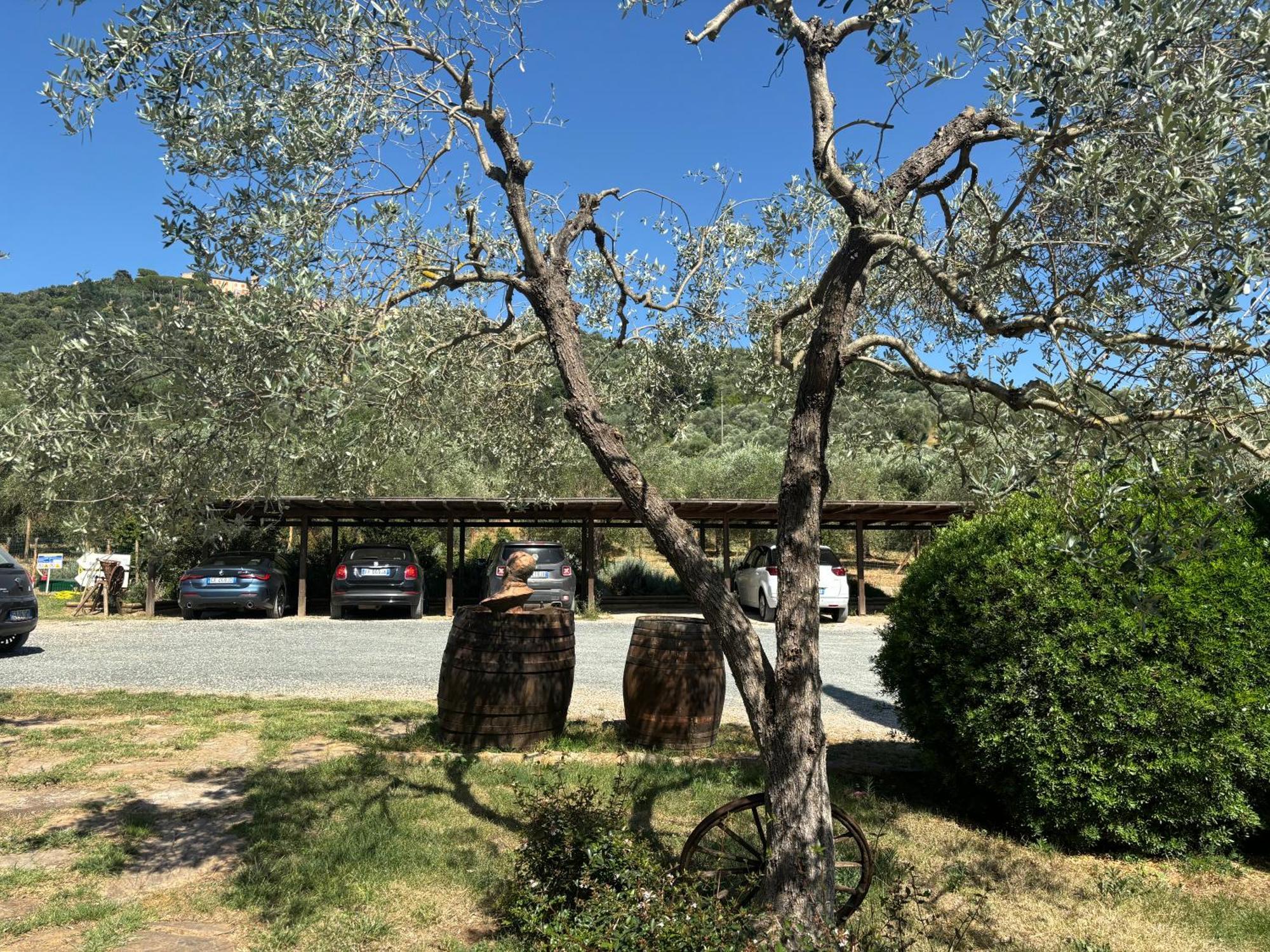 Nonna Nara Bed & Breakfast Grosseto Bagian luar foto