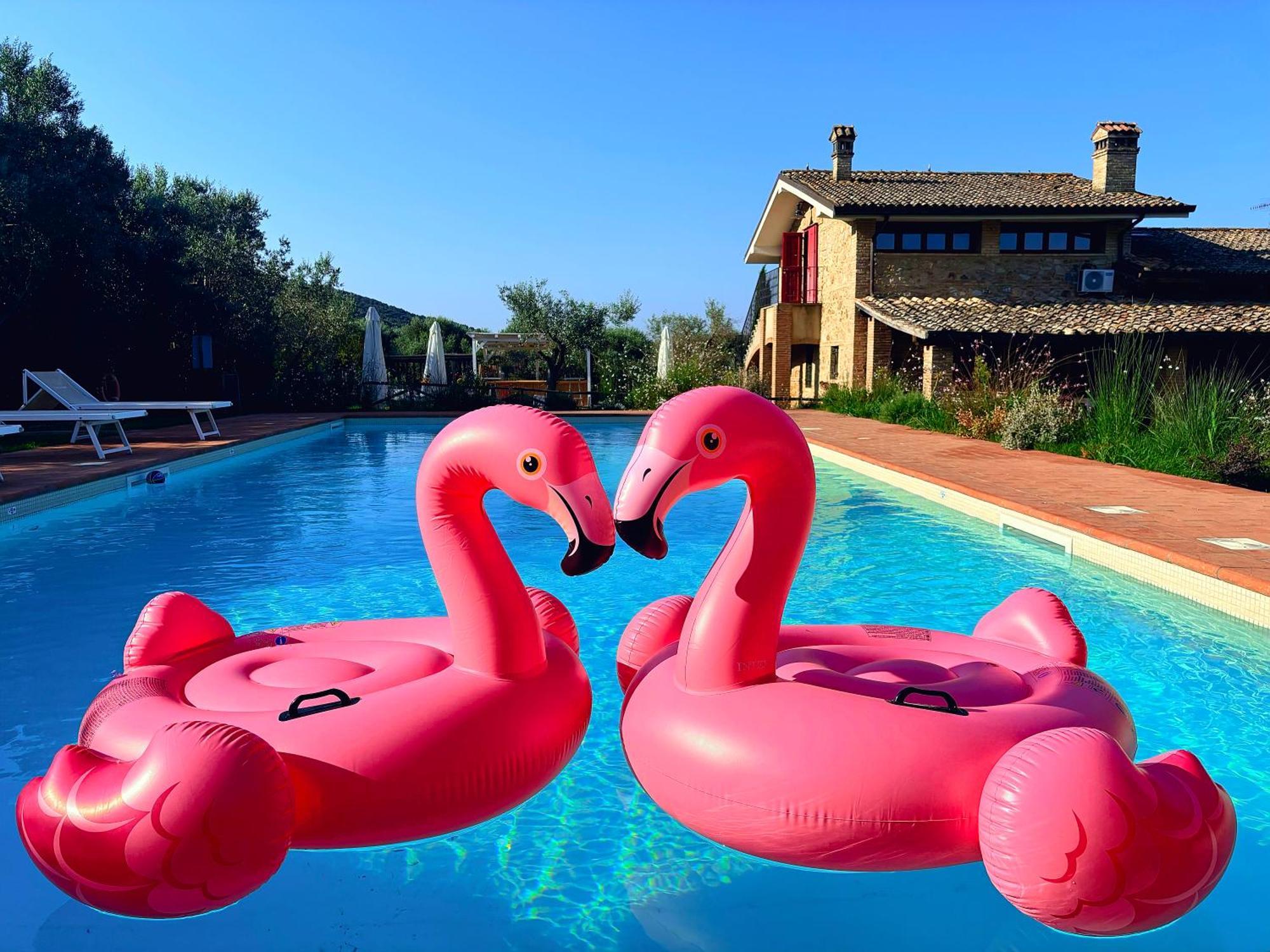 Nonna Nara Bed & Breakfast Grosseto Bagian luar foto