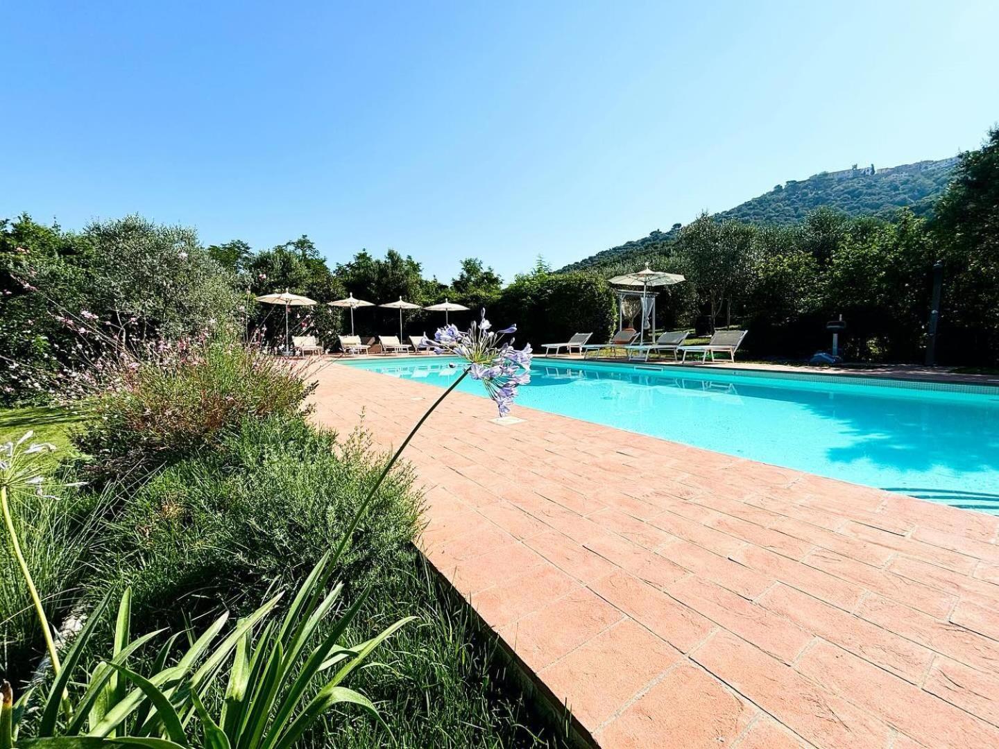 Nonna Nara Bed & Breakfast Grosseto Bagian luar foto