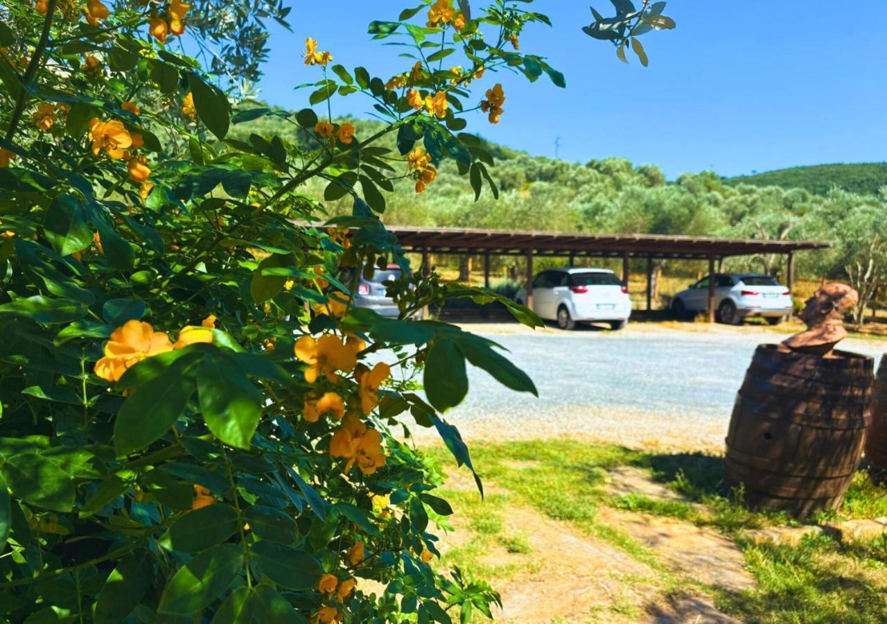Nonna Nara Bed & Breakfast Grosseto Bagian luar foto
