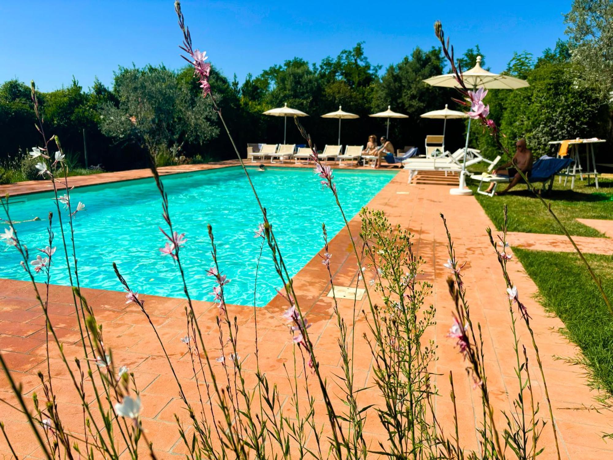 Nonna Nara Bed & Breakfast Grosseto Bagian luar foto