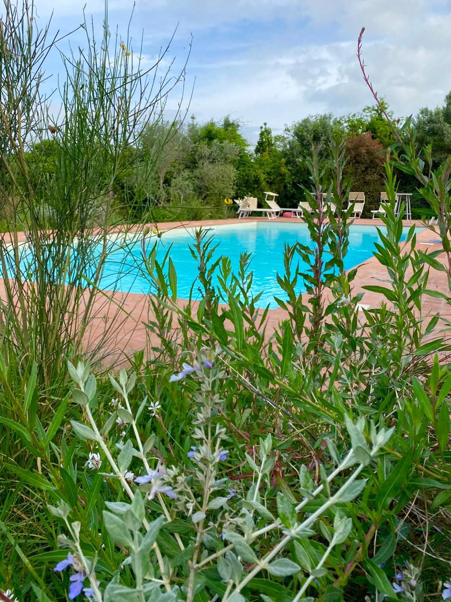 Nonna Nara Bed & Breakfast Grosseto Bagian luar foto