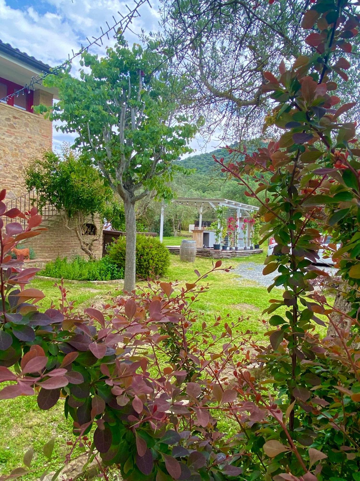 Nonna Nara Bed & Breakfast Grosseto Bagian luar foto